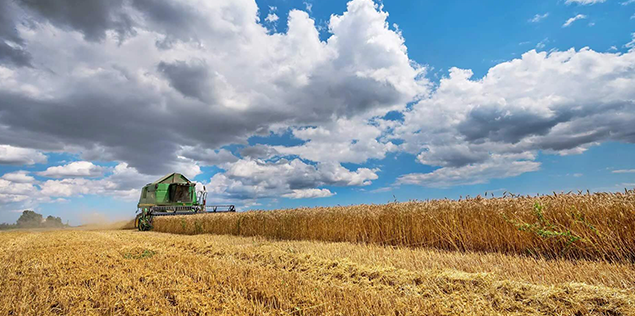 Ein Mähdrescher bei der Arbeit auf dem Feld